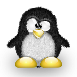 penguin pingouin pinguino 702